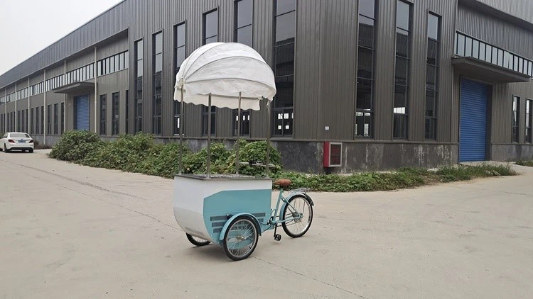 portable ice cream trike