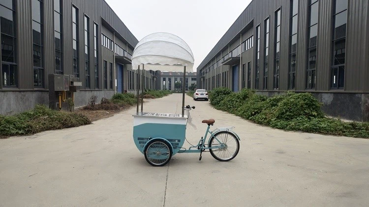 cheap ice cream trike for sale