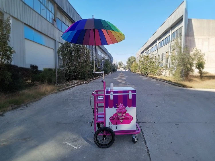 Ice-Cream-Push-Cart-with-Umbrella